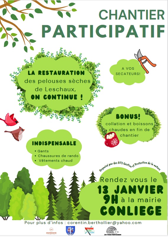 Chantier participatif : restauration de pelouses sèches