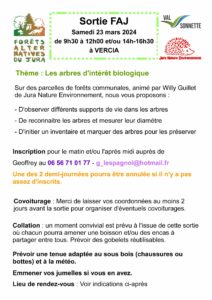 Sortie : à la découverte des arbres d’intérêt biologique