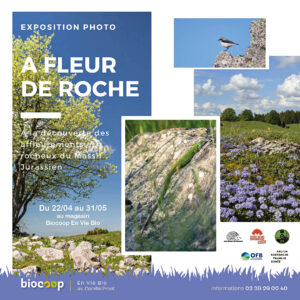 Exposition photo « A Fleur de roche » à la Biocoop de Lons