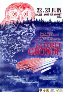 La forêt gronde : le photovoltaïque sur nos toits pas dans nos bois !
