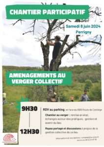 Chantier participatif : aménagements, inventaires et discussions au verger collectif