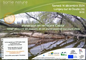 Journée sur le Castor : sortie Nature et chantier participatif