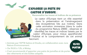 Prospection Castor : partez à la recherche des traces et des indices laissés par l&rsquo;animal