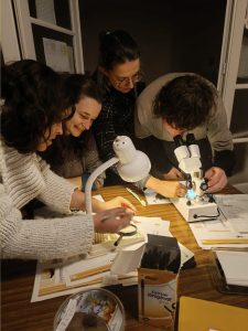 Soirée malacologie : connaître la diversité de mollusques en ville