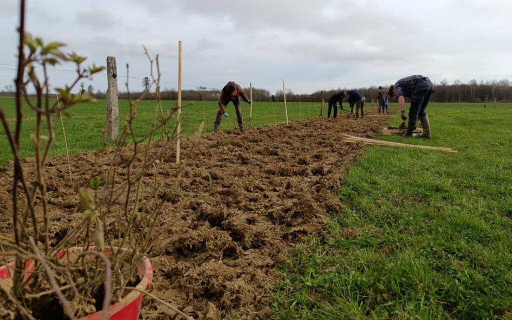 Semis tous azimuts ! le long d&rsquo;une haie plantée cet hiver