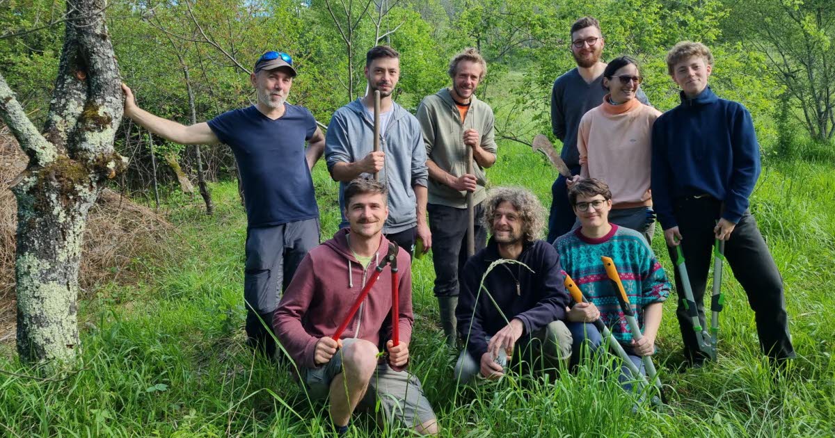 Atelier greffe au verger partagé avec la Pépinière des Francs-greffeurs