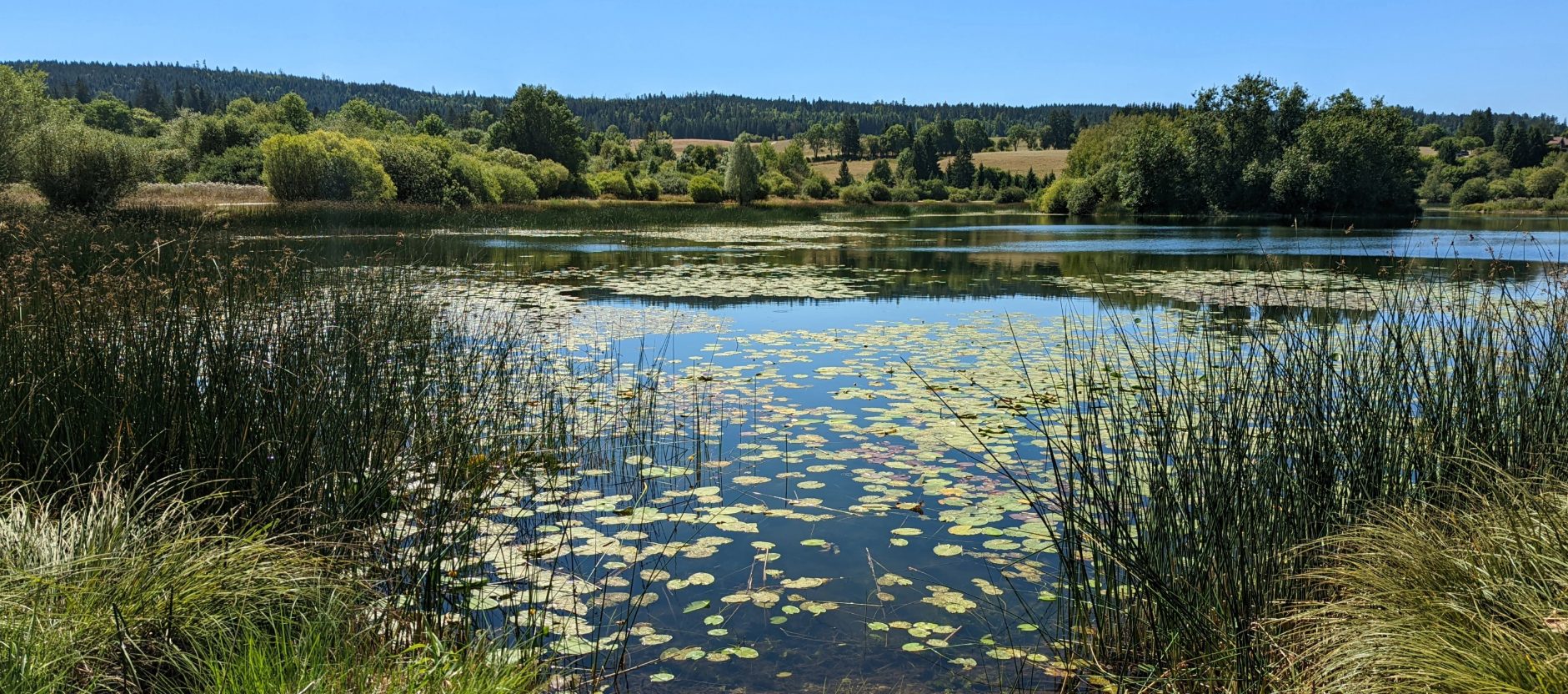La fête du printemps à la Réserve de Remoray
