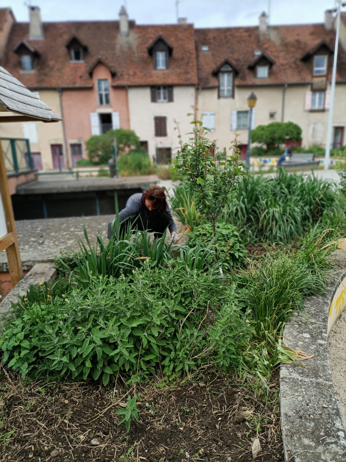 Chantier de jardinage aux jardins de la Comédie