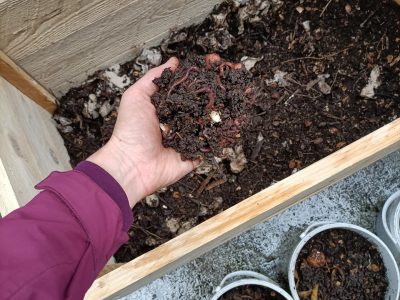 Découverte de l&rsquo;espace écologique du Solvan et tamisage/récupération de compost