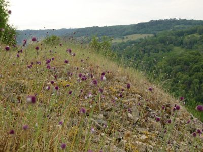 Sortie d&rsquo;été : circuit commenté sur la Côte de Mancy et sa périphérie