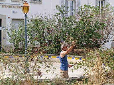 Chantier participatif : entretien, plantations et aménagements des Jardins de la Comédie