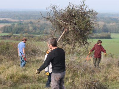 Chantier d&rsquo;entretien du verger communal et de la friche écologique