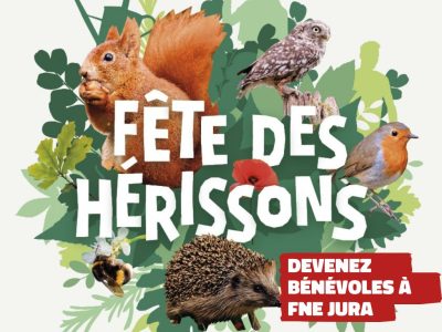 Fête des hérissons : deviens bénévole à FNE Jura
