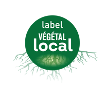Newsletter Végétal local
